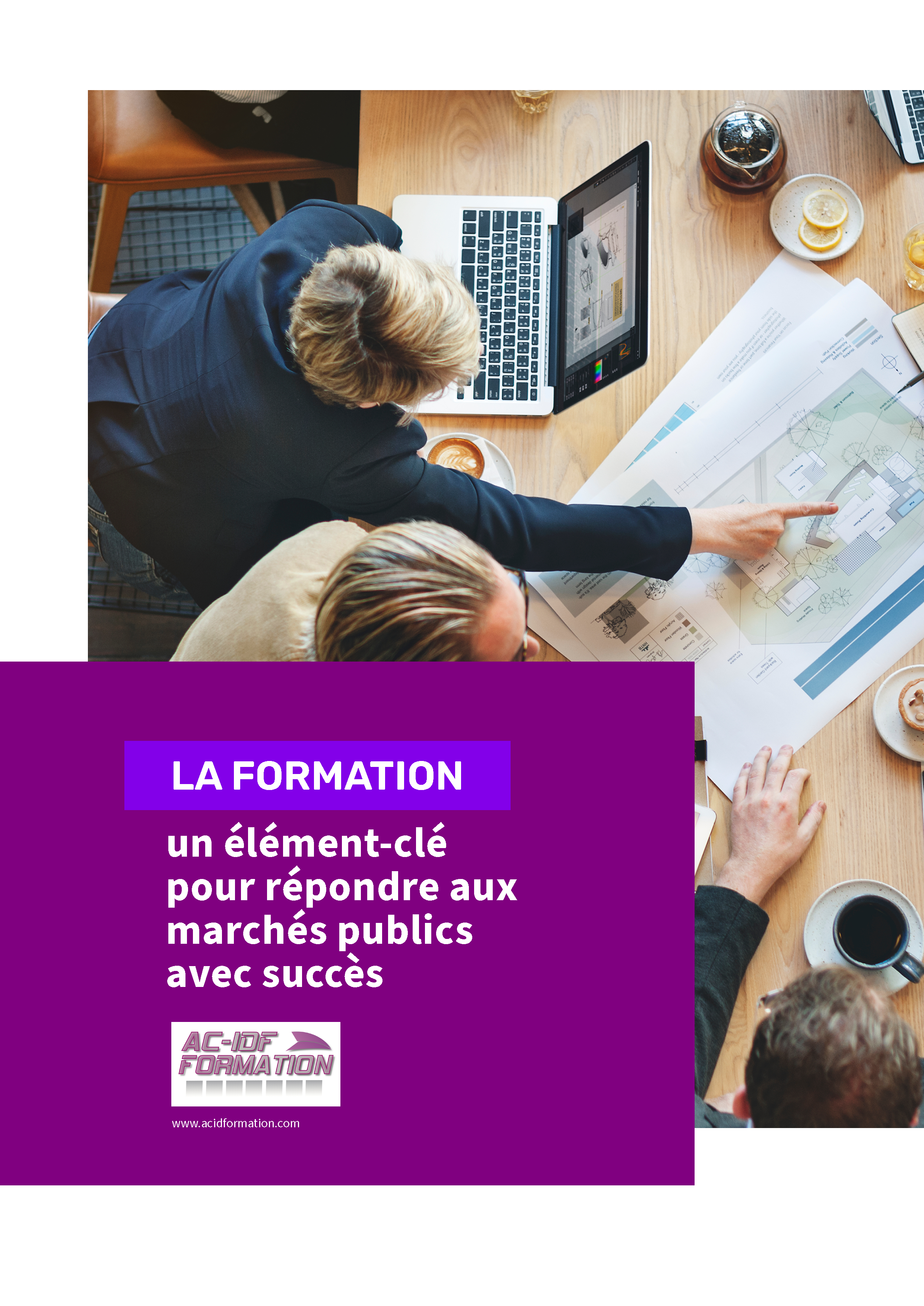 Pages de Livre Blanc Vfinale Assist Conseil